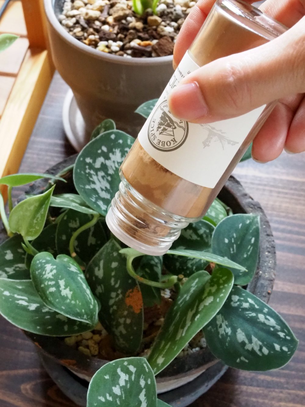 スパイスでコバエ対策（シナモン）